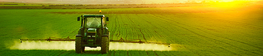 Agroentreprise