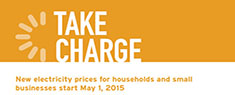 Image for Ontario Energy Board: Take Charge